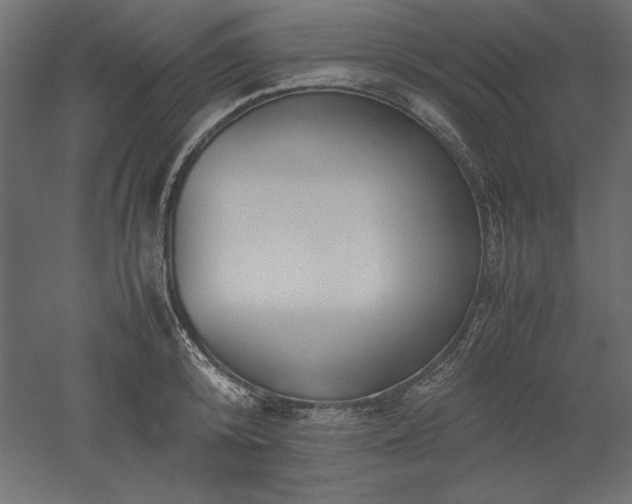 X0000051910800200507011532