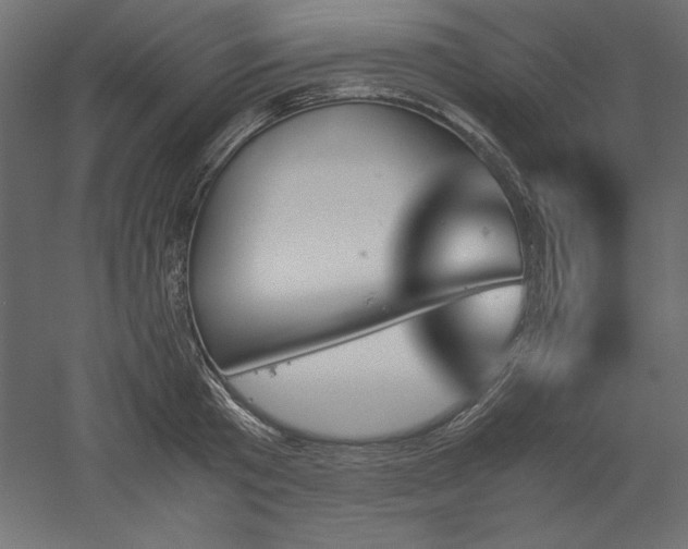 X0000051910801200507011532