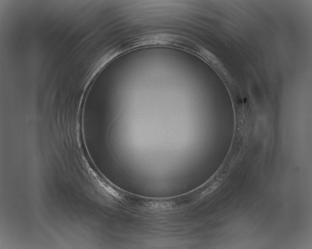 X0000051910802200507011532