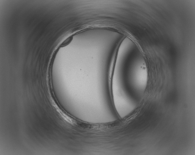 X0000051910803200507011532