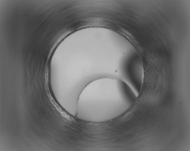 X0000051910804200507011532