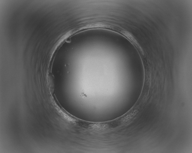 X0000051910805200507011532