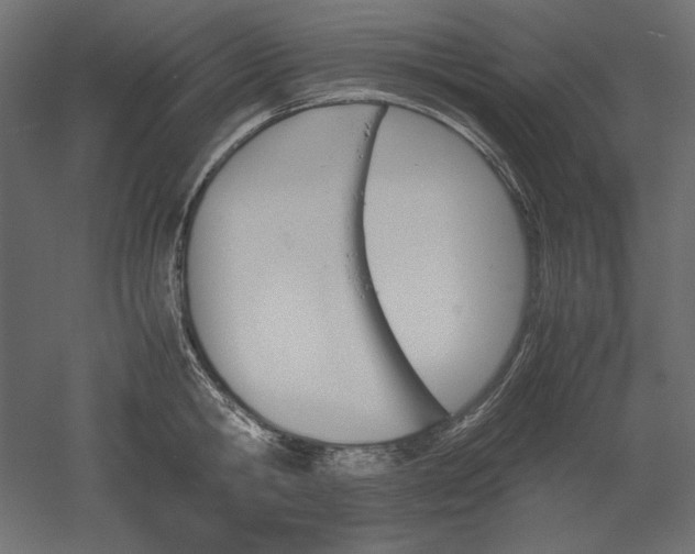 X0000051910806200507011532