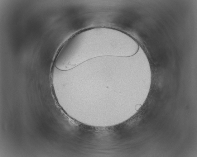 X0000051910807200507011532