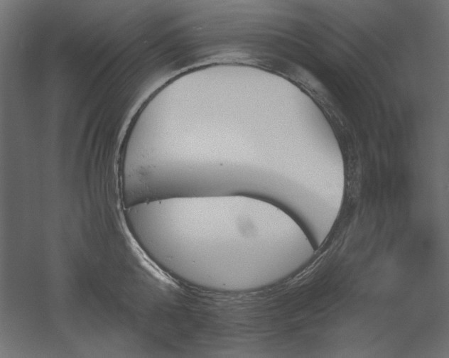 X0000051910808200507011532