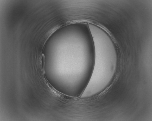 X0000051910809200507011532