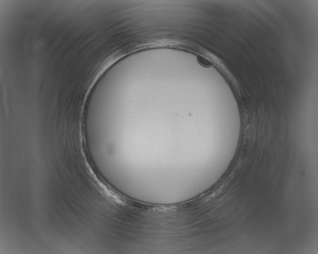 X0000051910810200507011532