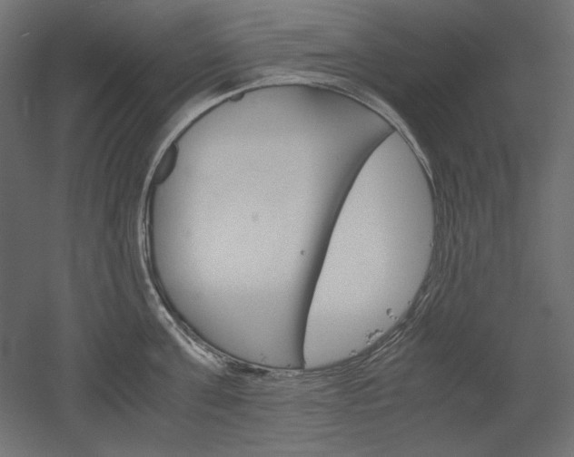 X0000051910811200507011532