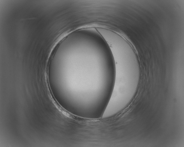 X0000051910813200507011532