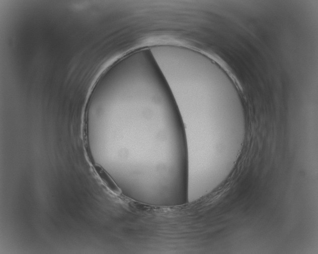 X0000051910815200507011532