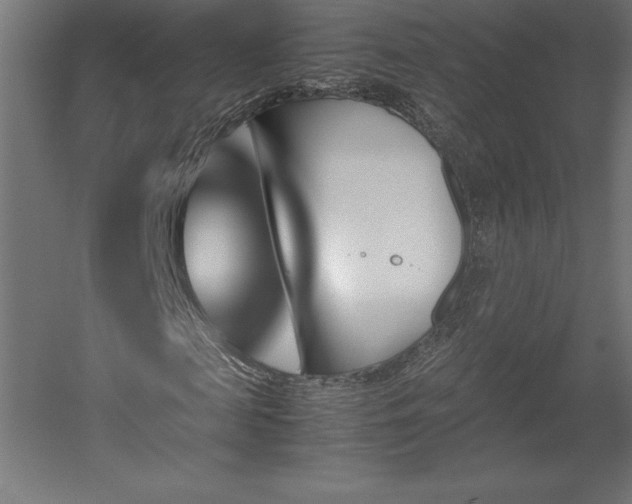 X0000051910817200507011531