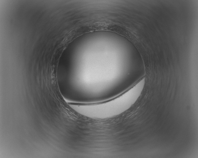 X0000051910818200507011531