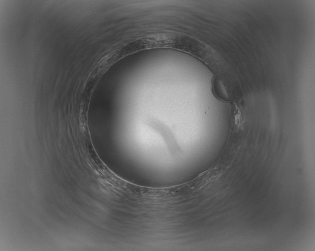 X0000051910819200507011531