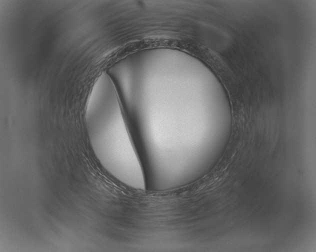 X0000051910821200507011531