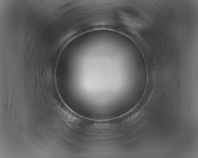 X0000051910825200507011531