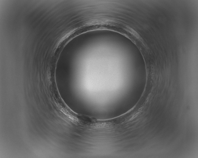 X0000051910826200507011531