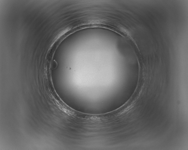 X0000051910827200507011531