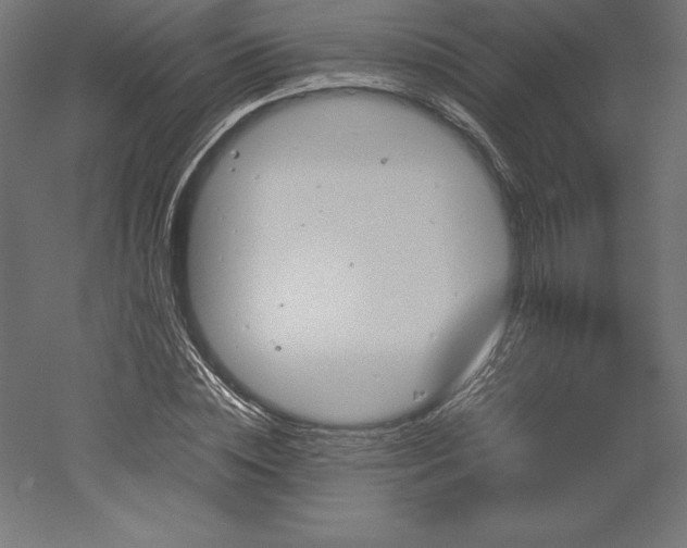 X0000051910828200507011531