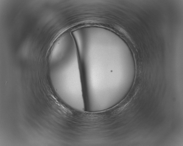 X0000051910829200507011531