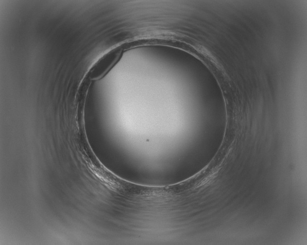 X0000051910830200507011531