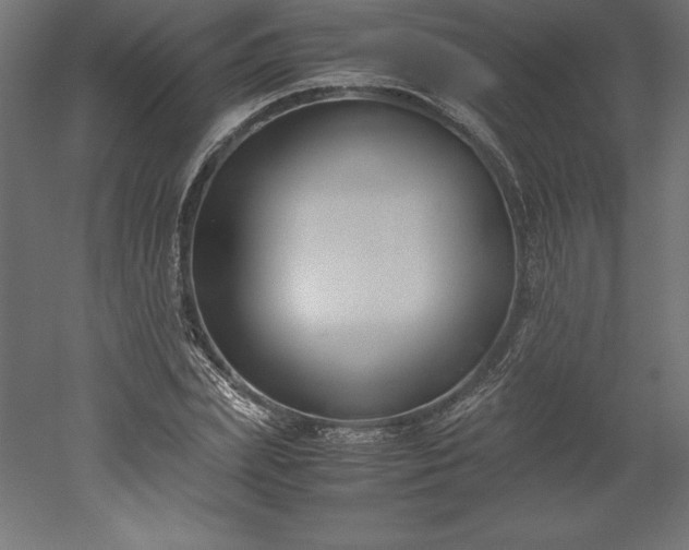 X0000051910831200507011531