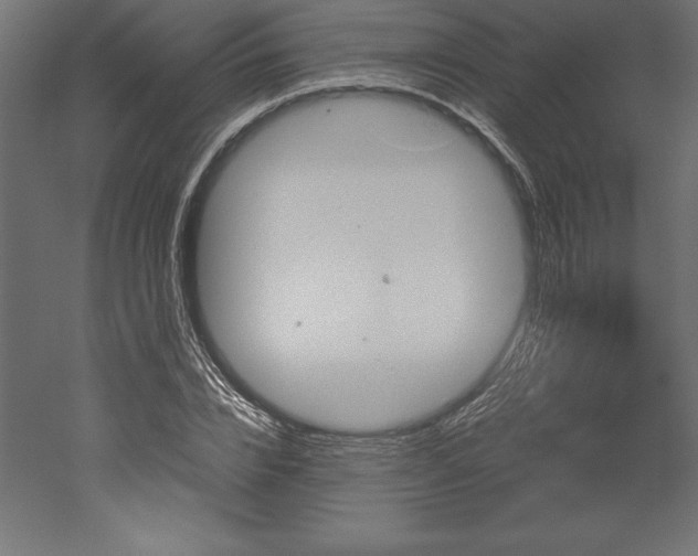 X0000051910832200507011531