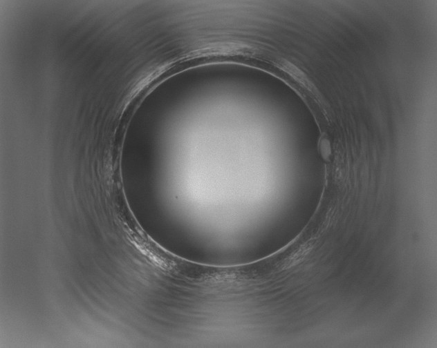 X0000051910834200507011531