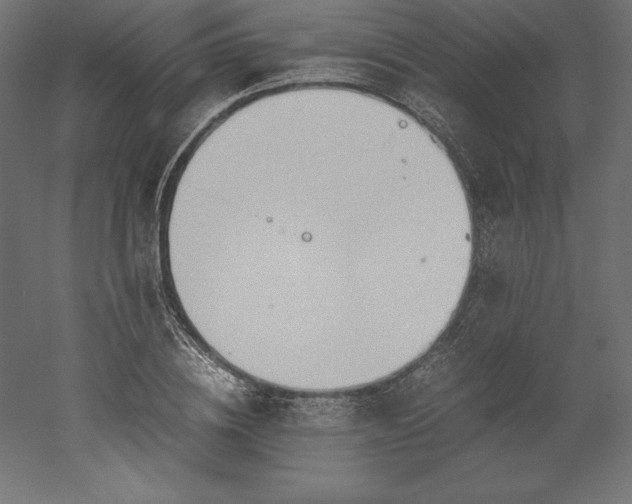 X0000051910836200507011531