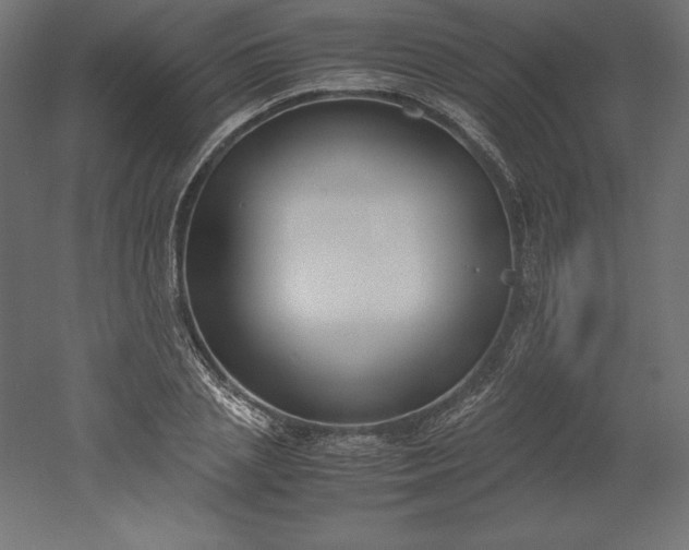 X0000051910837200507011531