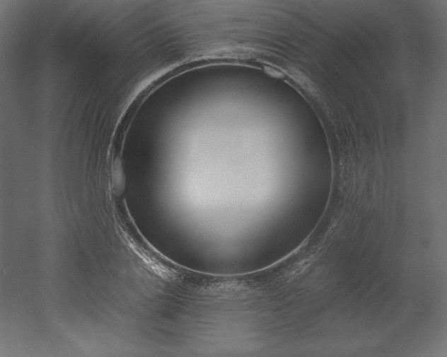 X0000051910838200507011531