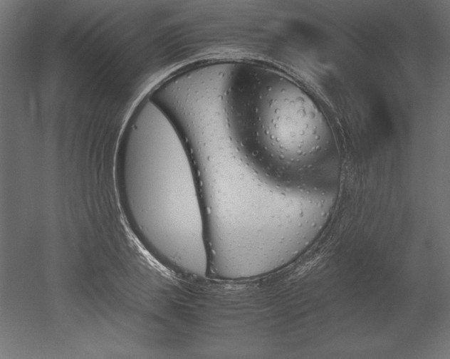 X0000051910839200507011531