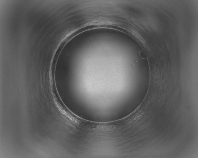 X0000051910840200507011531