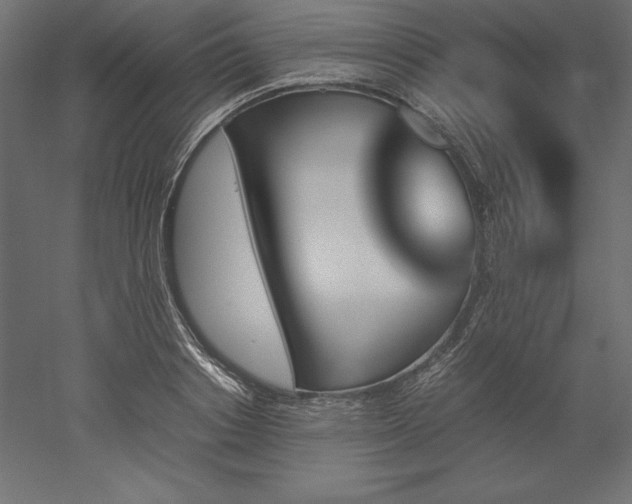 X0000051910842200507011531