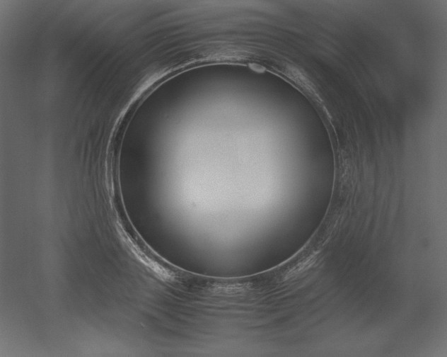 X0000051910843200507011531