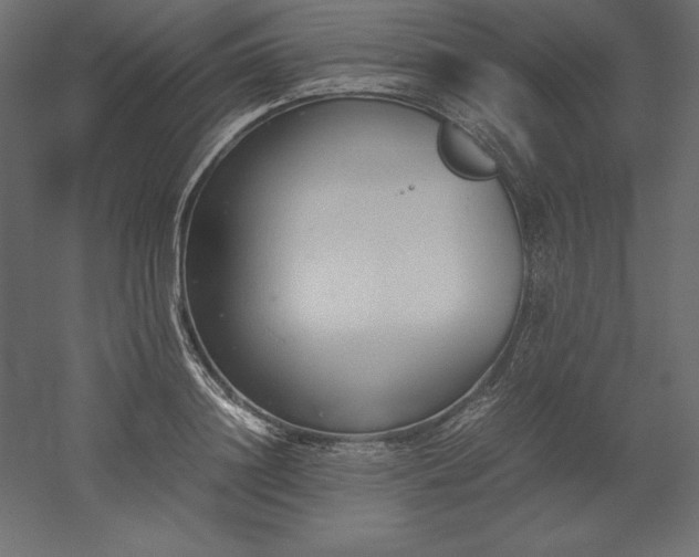 X0000051910844200507011531