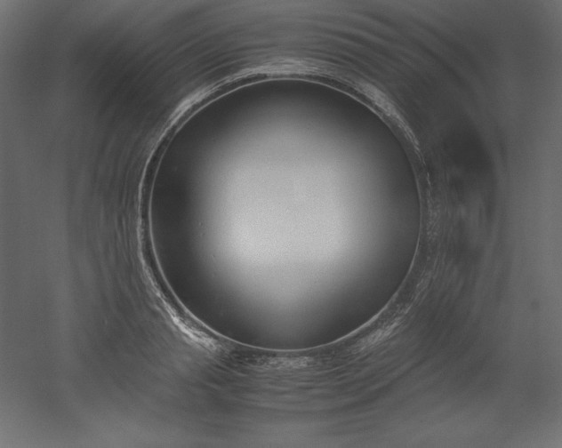 X0000051910845200507011531