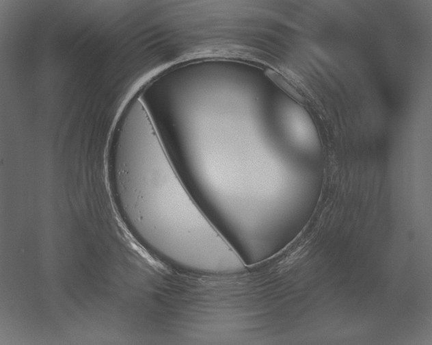 X0000051910846200507011531