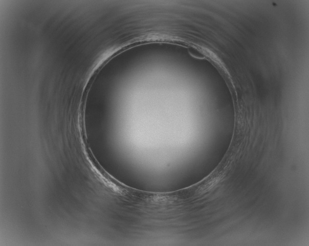 X0000051910847200507011531