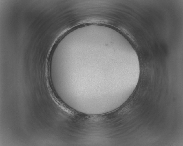 X0000051910848200507011531