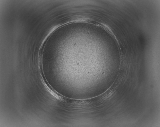 X0000051910851200507011531