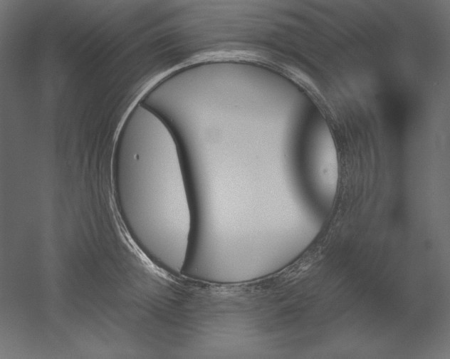 X0000051910852200507011532