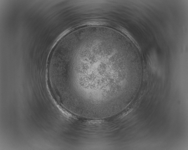 X0000051910853200507011532