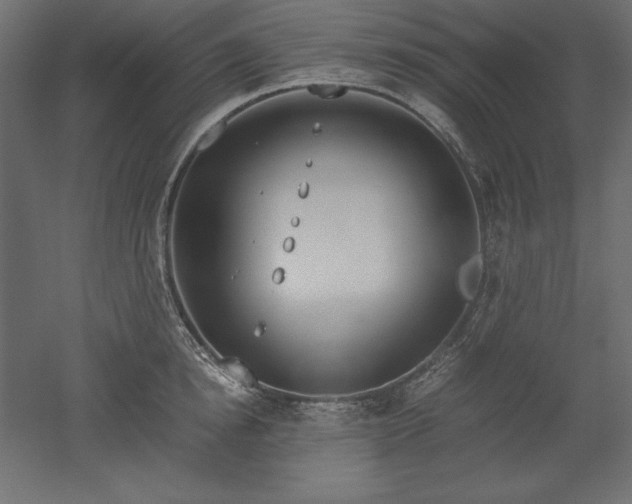 X0000051910854200507011532