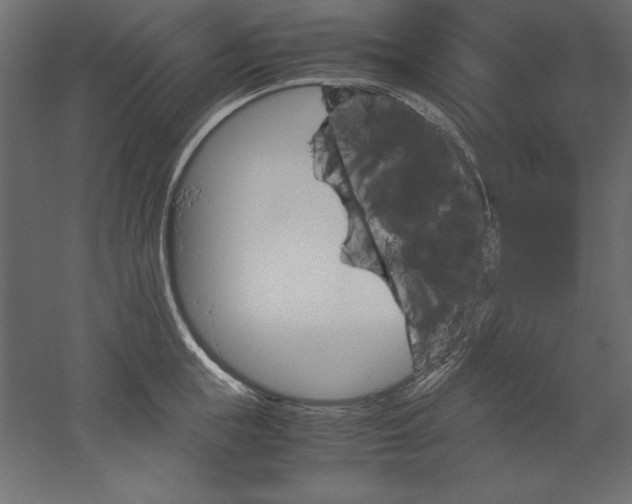 X0000051910855200507011532