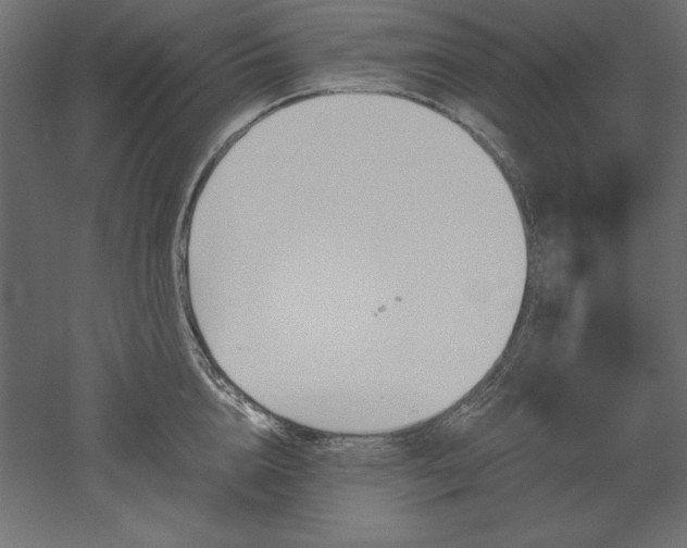 X0000051910856200507011532