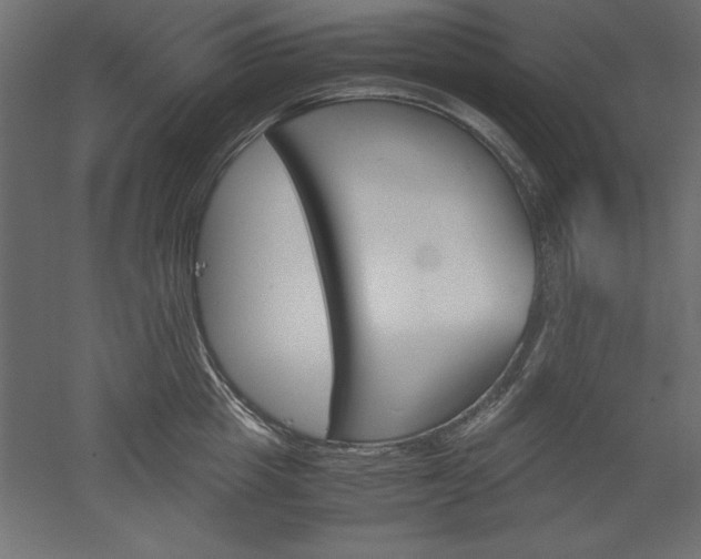 X0000051910857200507011532