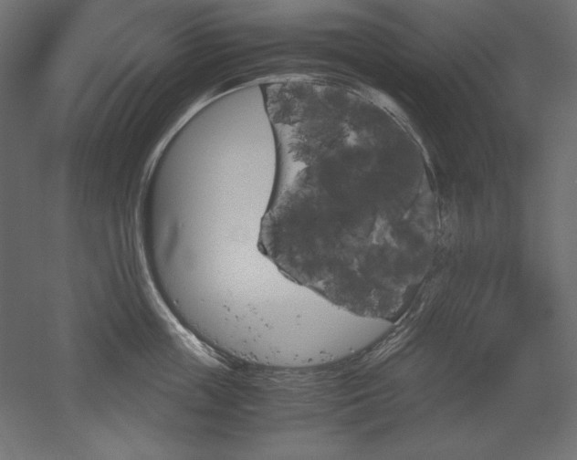 X0000051910859200507011532