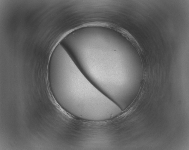 X0000051910860200507011532