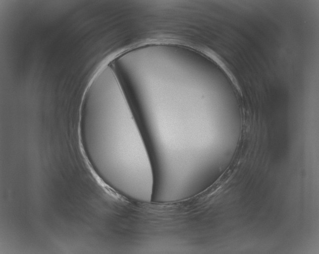 X0000051910861200507011532