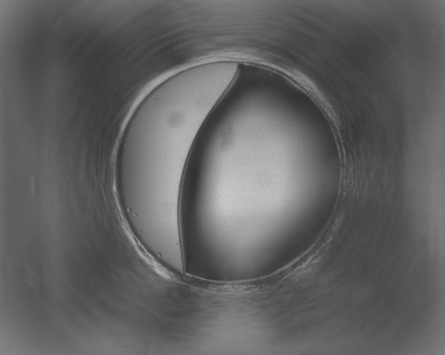 X0000051910862200507011532